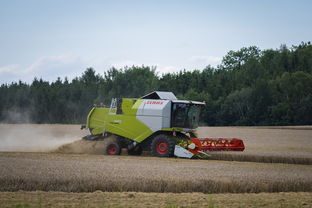开云在线直播-田径跨项目交流营探索协同训练新方式，田径跨栏的动作讲解